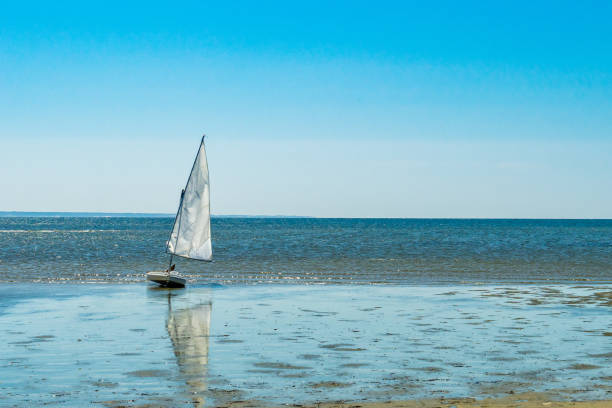 istock Yacht and Beautiful landscape of ocean beach Cape cod Massachusetts 1013377366