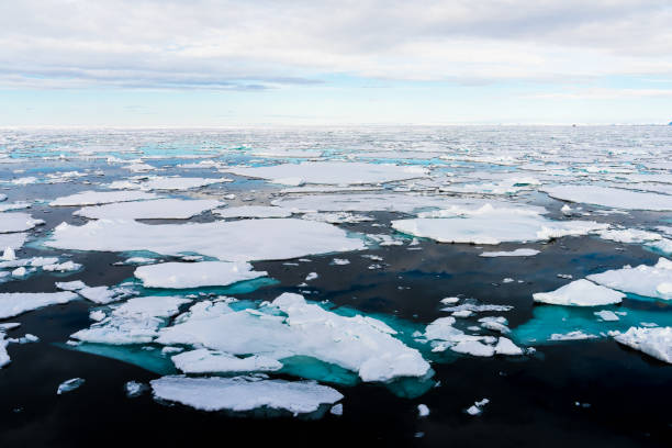 istock Ice pieces on the water in Arctic 1013377394