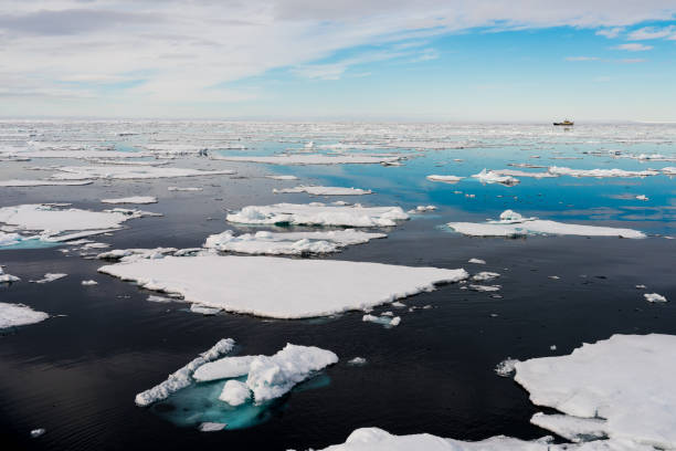 istock Ice pieces on the water in Arctic 1013379364
