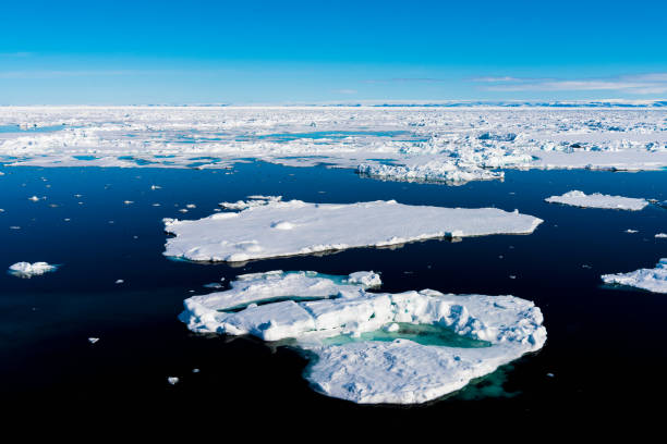 istock Blue sky and Ice pieces on the water in Arctic 1013379996