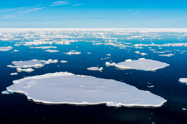 istock Blue sky and Ice pieces on the water in Arctic 1013380004