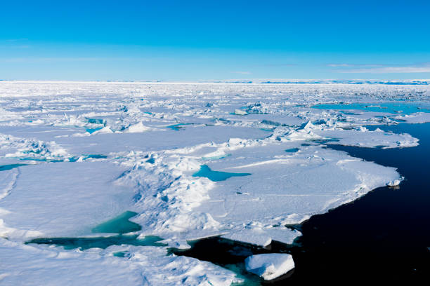 istock Blue sky and Ice pieces on the water in Arctic 1013382054