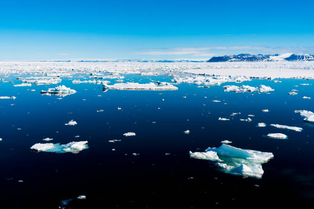 istock Blue sky and Ice pieces on the water in Arctic 1013382076