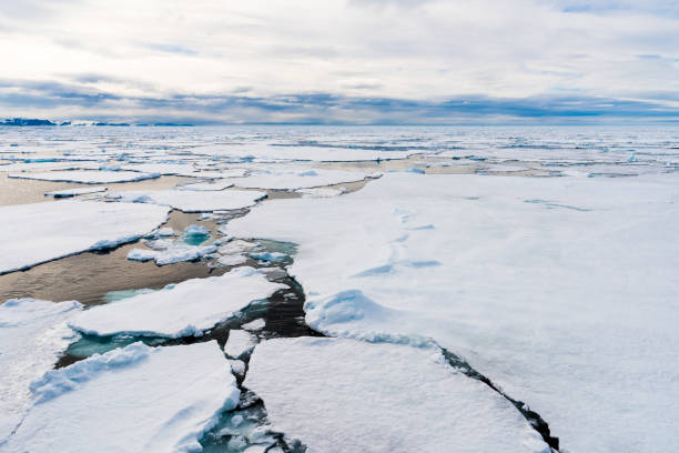 istock Ice pieces on the water in Arctic 1013382098