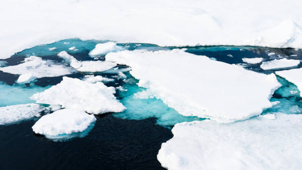 istock Ice pieces on the water in Arctic 1013382110