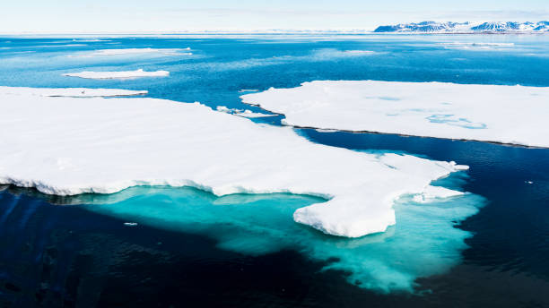 istock Ice pieces on the water in Arctic 1013382220