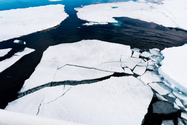 istock Ice pieces on the water in Arctic 1013382254