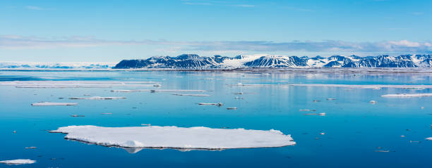 istock Ice pieces on the water in Arctic 1013382286