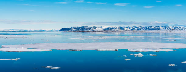 istock Ice pieces on the water in Arctic 1013382296