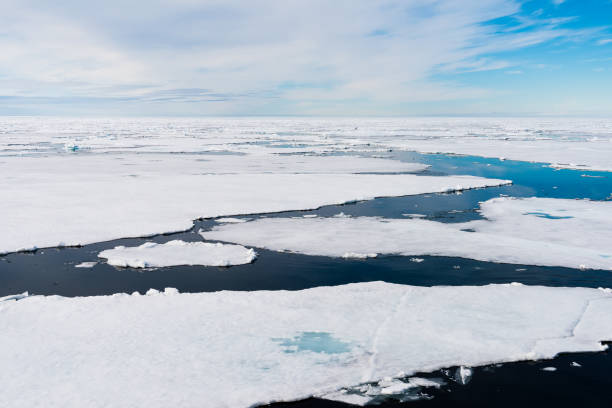 istock Ice pieces on the water in Arctic 1013382312