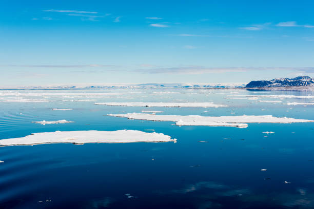 istock Ice pieces on the water in Arctic 1013382392
