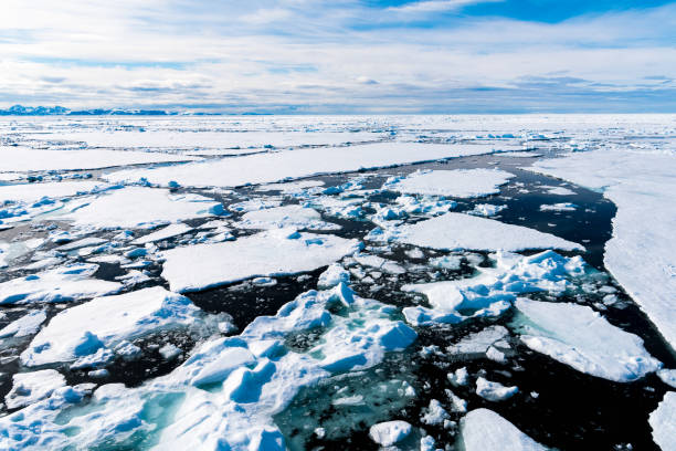 istock Ice pieces on the water in Arctic 1013382712