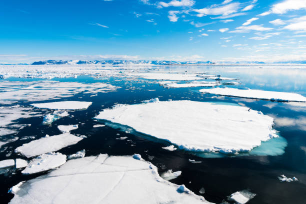 istock Ice pieces on the water in Arctic 1013382750