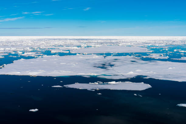 istock Blue sky and Ice pieces on the water in Arctic 1013384066