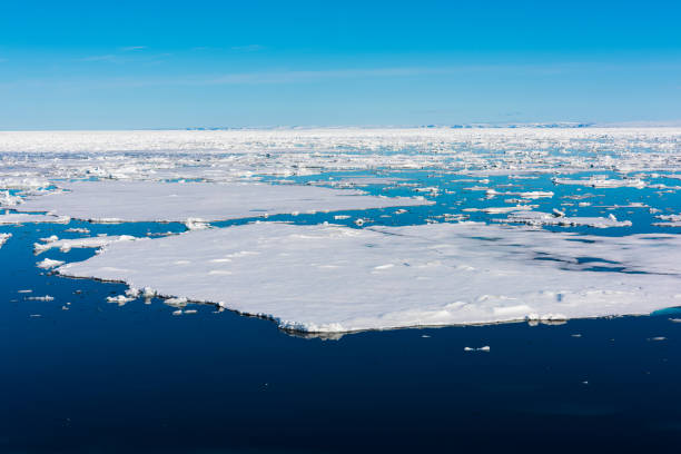 istock Blue sky and Ice pieces on the water in Arctic 1013384834