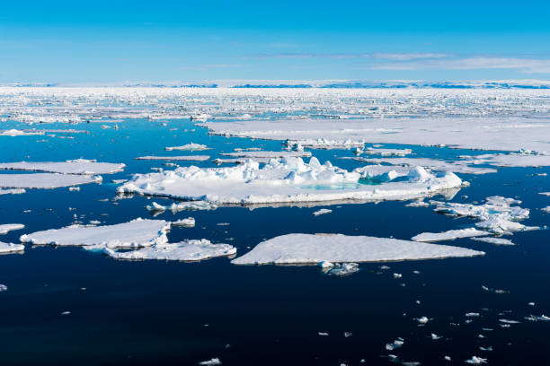 istock Blue sky and Ice pieces on the water in Arctic 1013384838