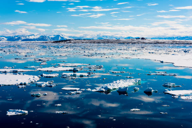 istock Blue sky and Ice pieces on the water in Arctic 1013384882