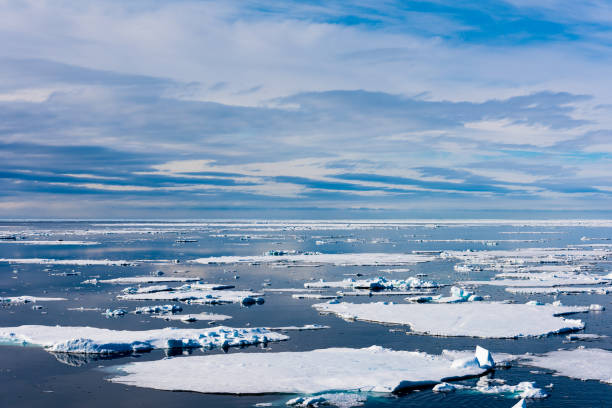 istock Blue sky and Ice pieces on the water in Arctic 1013384886