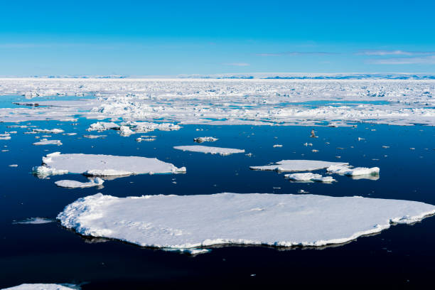 istock Blue sky and Ice pieces on the water in Arctic 1013384892