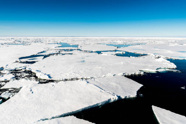 istock Ice pieces on the water in Arctic 1013390272