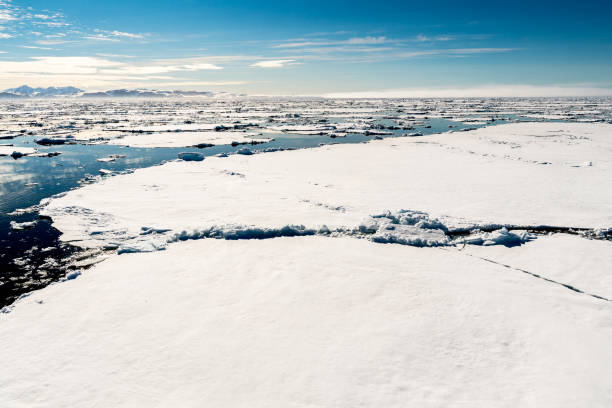 Ice landcape on the water in Arctic