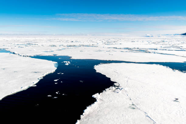 istock Ice pieces on the water in Arctic 1013390806