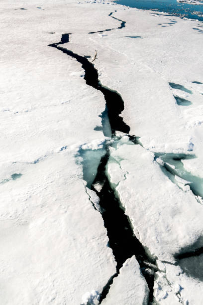istock Ice pieces on the water in Arctic 1013392848