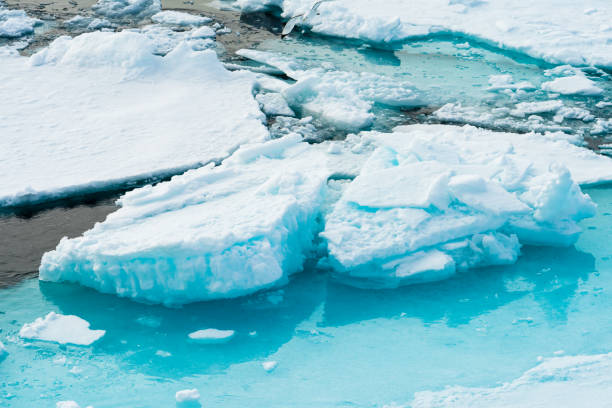 istock Ice pieces on the water in Arctic 1013393050
