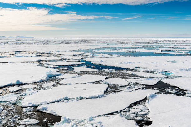 istock Ice pieces on the water in Arctic 1013393086