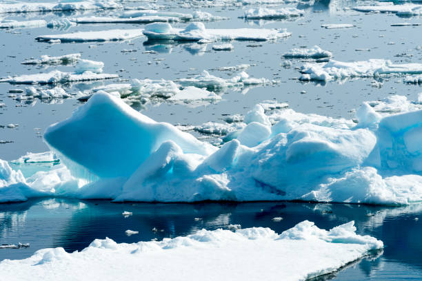 istock Ice pieces on the water in Arctic 1013393266