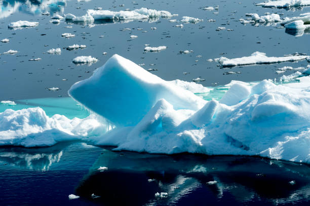 istock Ice pieces on the water in Arctic 1013393272