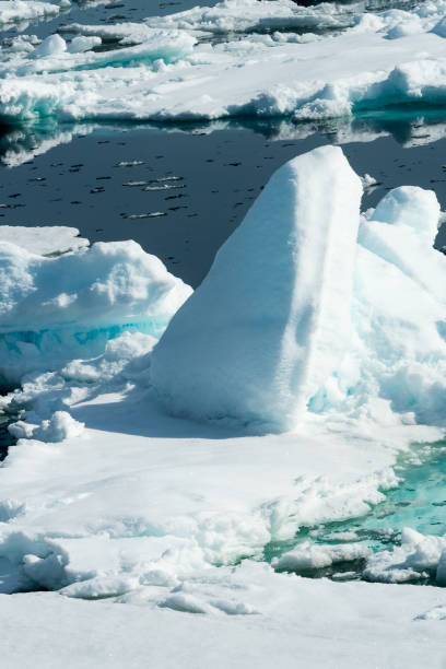 istock Ice pieces on the water in Arctic 1013393280