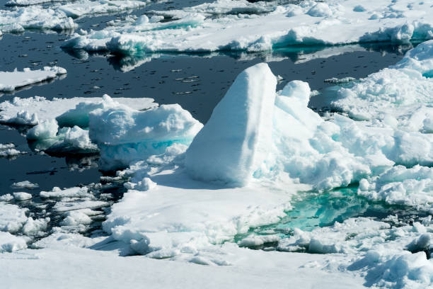 istock Ice pieces on the water in Arctic 1013393282