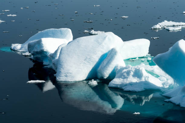 istock Ice pieces on the water in Arctic 1013393288