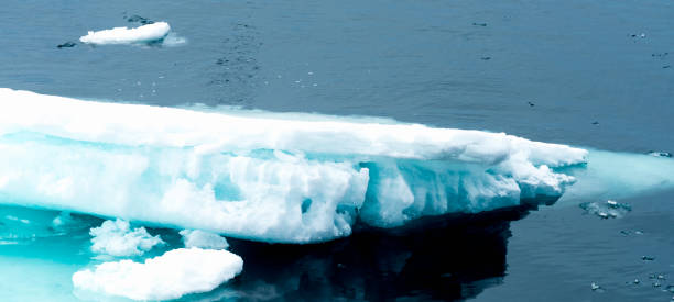 istock Ice pieces on the water in Arctic 1013393310