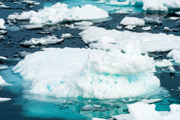 istock Ice pieces on the water in Arctic 1013393366