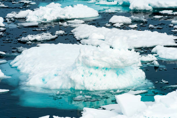 istock Ice pieces on the water in Arctic 1013393368