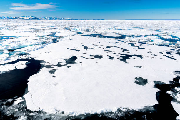 istock Ice pieces on the water in Arctic 1013397568