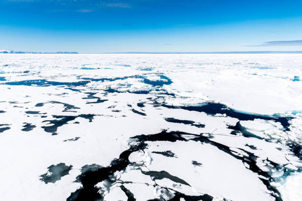 istock Ice landcape on the water in Arctic 1013397582
