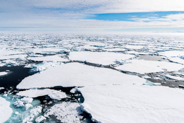 istock Ice pieces on the water in Arctic 1013397618
