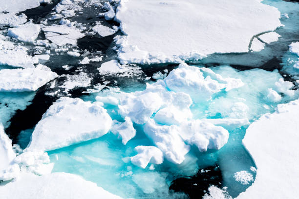istock Ice pieces on the water in Arctic 1013397620