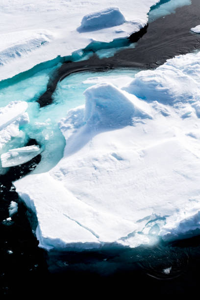 istock Ice pieces on the water in Arctic 1013397630