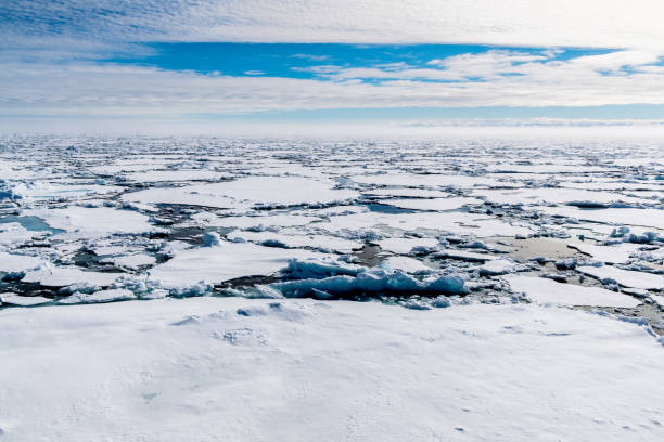 istock Ice pieces on the water in Arctic 1013397642