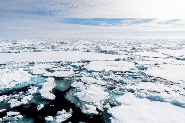 istock Ice pieces on the water in Arctic 1013397760