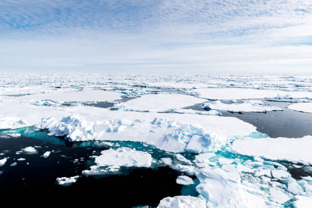 istock Ice pieces on the water in Arctic 1013397782