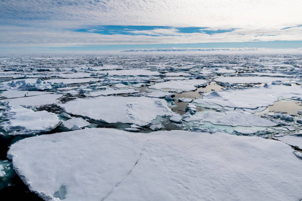 istock Ice pieces on the water in Arctic 1013397886