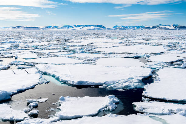 istock Ice pieces on the water in Arctic 1013397902