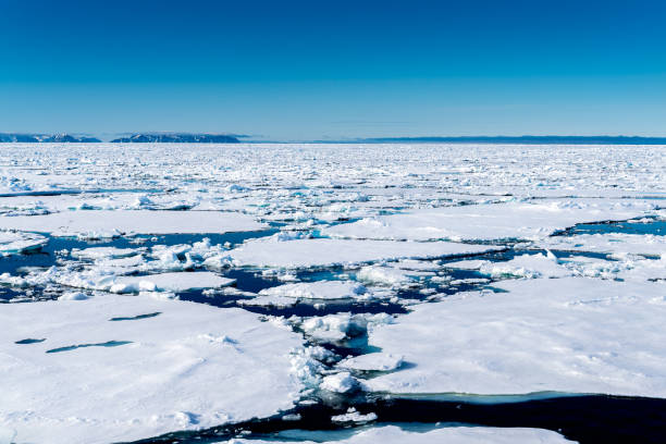 istock Ice pieces on the water in Arctic 1013397930