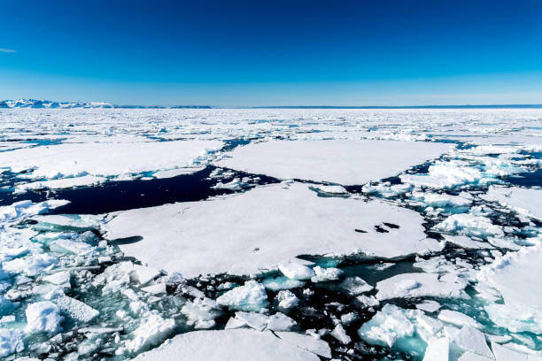 istock Ice pieces on the water in Arctic 1013397940