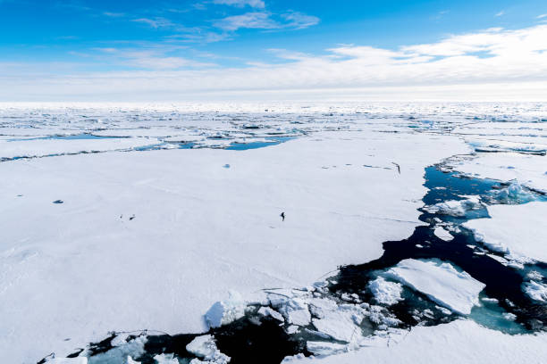 istock Ice landcape on the water in Arctic 1013398036
